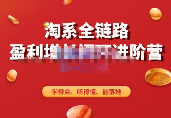 淘系全链路盈利增长闭环进阶营，融合全店动销，学得会、听得懂、能落地！-秀人资源网