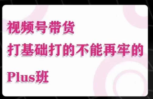 大播汇·视频号带货Puls班，视频号底层逻辑，起号自然流鱼塘等玩法-整合资源网