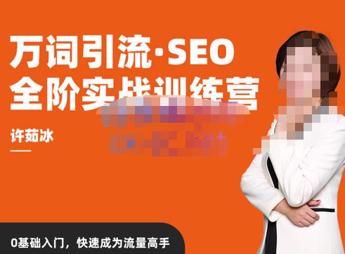 许茹冰·万词引流-SEO全阶实战训练营，0基础入门，快速成为流量高手-秀人资源网
