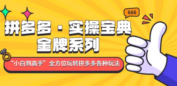 拼多多·实操宝典：金牌系列“小白到高手”带你全方位玩转拼多多各种玩法-秀人资源网