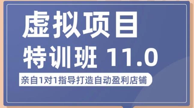 陆明明·虚拟项目特训班（10.0+11.0），0成本获取虚拟素材，0基础打造自动盈利店铺-秀人资源网