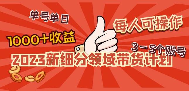 2023新细分领域带货计划：单号单日1000+收益不难，每人可操作3-5个账号-整合资源网