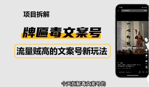 2023抖音快手毒文案新玩法，牌匾文案号，起号快易变现-整合资源网