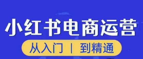 顽石小红书电商高阶运营课程，从入门到精通，玩法流程持续更新-整合资源网