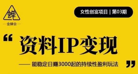 资料IP变现，能稳定日赚3000起的持续性盈利玩法-秀人资源网