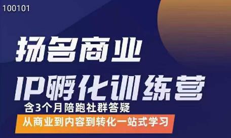王扬名·商业IP孵化训练营，从商业到内容到转化一站式学习-秀人资源网