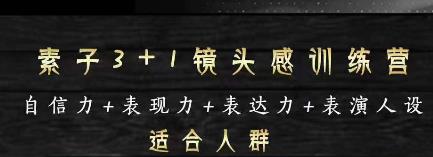 素子表现力训练营，提高自信力+表现力+表达力+表演人设，打造个人魅力ip-秀人资源网