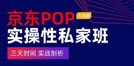 京东POP实操性私家班——大促篇，​三天时间，实战剖析-​原价4980-整合资源网