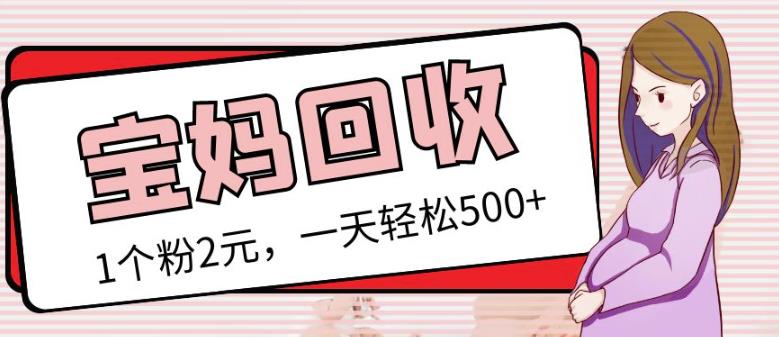 最新小红书母婴号宝妈粉回收项目，1个粉2元，一天轻松500+案例分享【粉丝包回收】-秀人资源网