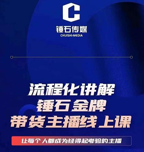 锤石传媒婉婉·金牌带货主播线上课，流程化讲解，打造金牌带货主播-秀人资源网