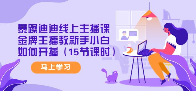 暴躁迪迪线上主播课，金牌主播教新手小白如何开播（15节课时）-秀人资源网