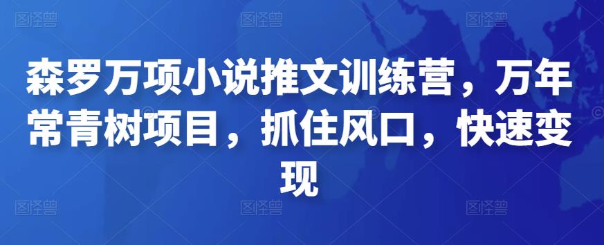 森罗万项小说推文训练营，万年常青树项目，抓住风口，快速变现-秀人资源网