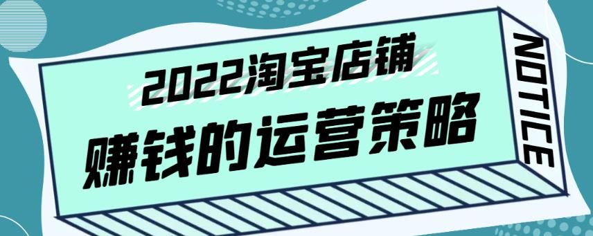 震宇老师·2022年淘宝店铺赚钱的运营策略，一套能够盈利的赚钱打法-整合资源网