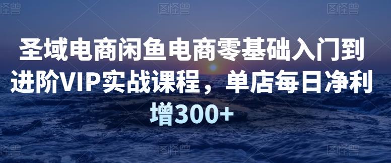 圣域电商闲鱼电商零基础入门到进阶VIP实战课程，单店每日净利增300+-整合资源网