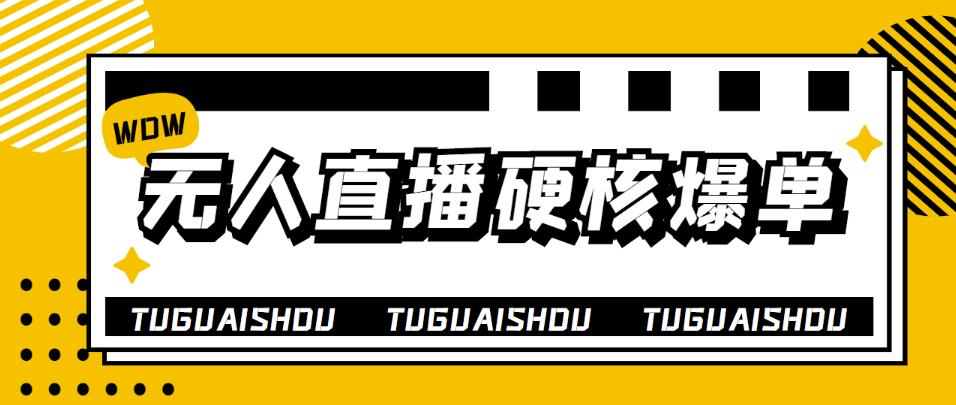 大飞无人直播硬核爆单技术，轻松玩转无人直播，暴利躺赚-秀人资源网