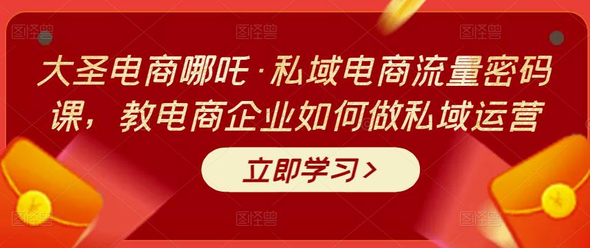 大圣电商哪吒·私域电商流量密码课，教电商企业如何做私域运营-整合资源网