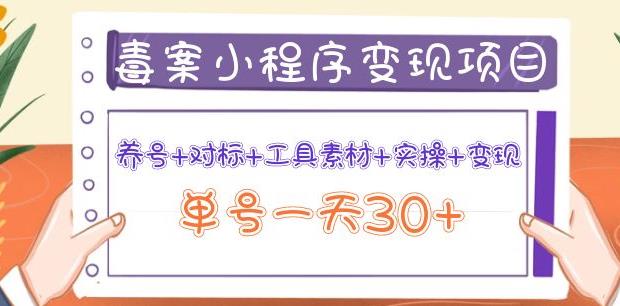 森罗万项毒案小程序变现项目：养号+对标+工具素材+实操+变现，单号一天30+-秀人资源网