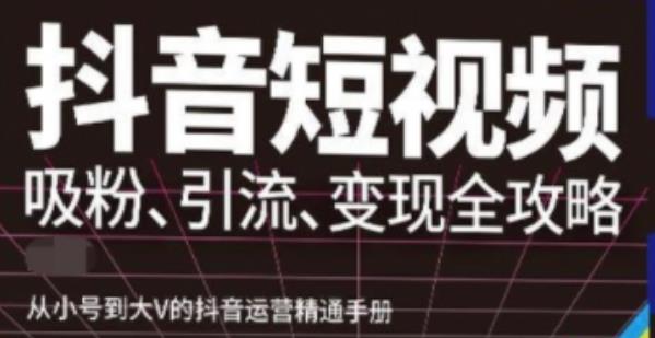 抖音视频号高级实操与理论课程：吸粉、引流、变现全攻略，从小号到大V的抖音运营精通手册-整合资源网