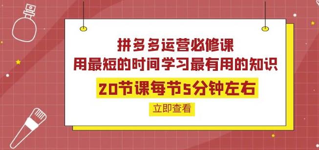 拼多多运营必修课：20节课每节5分钟左右，用最短的时间学习最有用的知识-秀人资源网