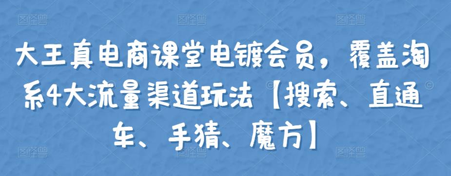 大王真电商课堂电镀会员，覆盖淘系4大流量渠道玩法【搜索、直通车、手猜、魔方】-秀人资源网