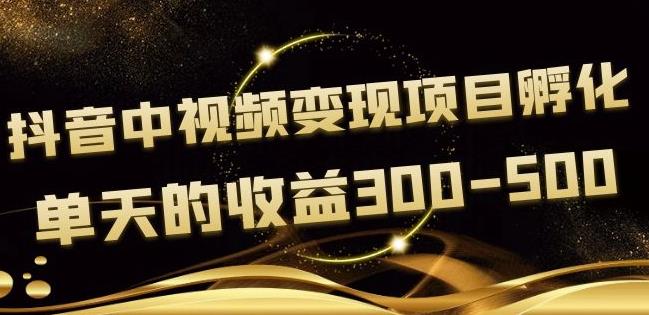 黄岛主抖音中视频变现项目孵化，单天的收益300-500操作简单粗暴-秀人资源网