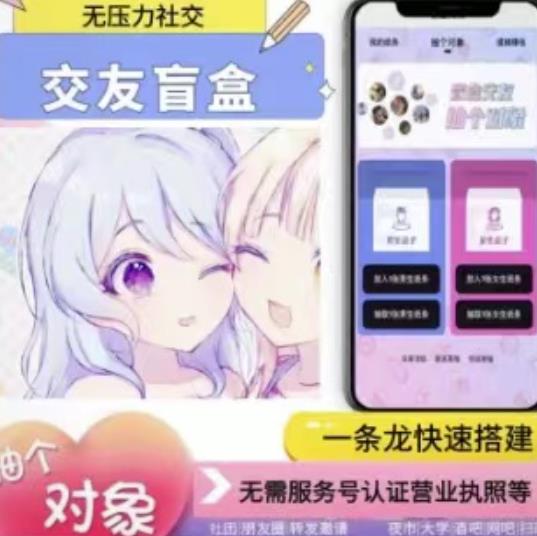 搭建交友盲盒网站，号称一天300—500＋【源码+教程】-秀人资源网