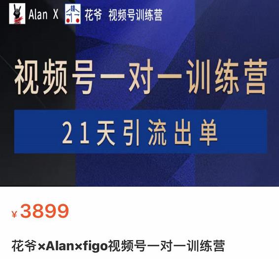 花爷×Alan×figo视频号训练营，带货，涨粉，直播，游戏，四大变现新方向，21天引流出单-整合资源网
