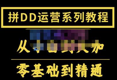 2022全套拼多多核心实操课程，从0-1轻松起链接实战，低投入高产出运作店铺-秀人资源网