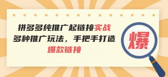 拼多多纯推广起链接实战：多种推广玩法，手把手打造爆款链接-秀人资源网