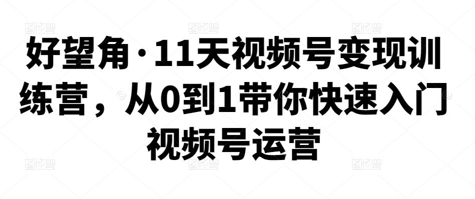 好望角·11天视频号变现训练营，从0到1带你快速入门视频号运营-秀人资源网