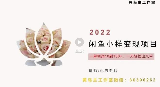 黄岛主最新企业彩铃项目+闲鱼小样项目，利润每天200+轻轻松松，纯视频拆解玩法-秀人资源网