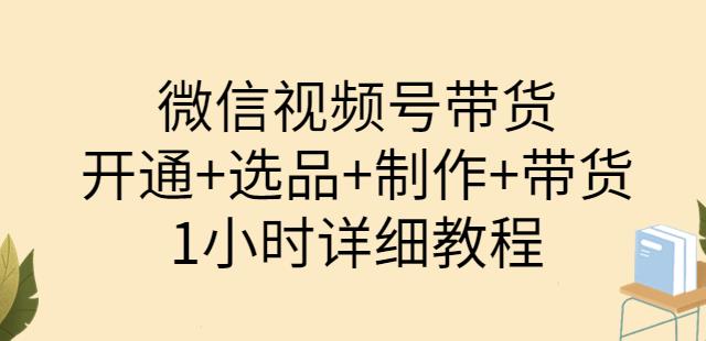 陈奶爸·微信视频号带货：开通+选品+制作+带货（1小时详细教程）-秀人资源网