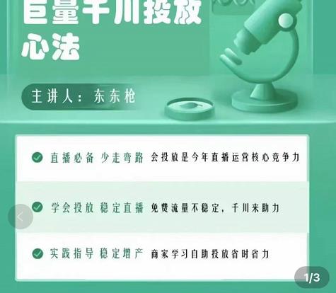 东仔千川优化师，巨量千川投放实操课，学会投放，稳定直播，稳定增产-整合资源网