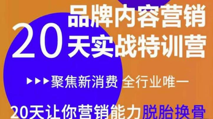 《内容营销实操特训营》20天让你营销能力脱胎换骨（价值3999）-秀人资源网