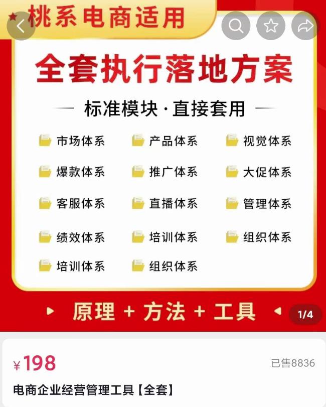 外面卖198·电商企业经营管理工具：全套执行落地方案标准模块·直接套用-秀人资源网
