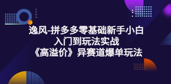 逸风-拼多多零基础新手小白入门到玩法实战《高溢价》异赛道爆单玩法实操课-秀人资源网