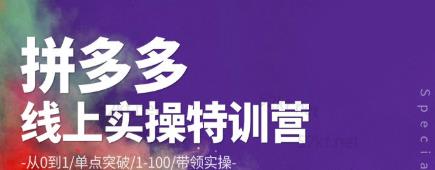 青云:拼多多运营实操特训营：从0到1/单点突破/1-100/带领实操价值2980元-整合资源网