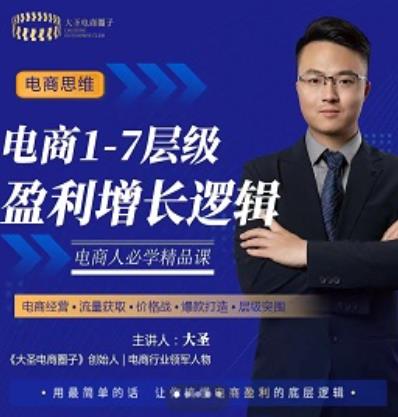 大圣：电商1-7层级盈利增长底层逻辑课（线上视频课），用简单的话，让你掌握电商盈利的底层逻辑-秀人资源网
