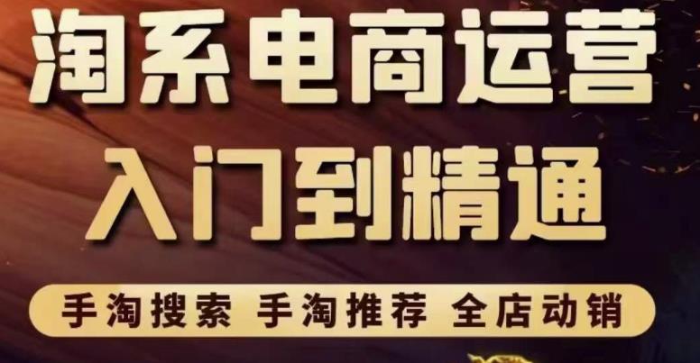 淘系电商入门到精通手淘搜索，手淘推荐，全店动销（价值1099元）-整合资源网