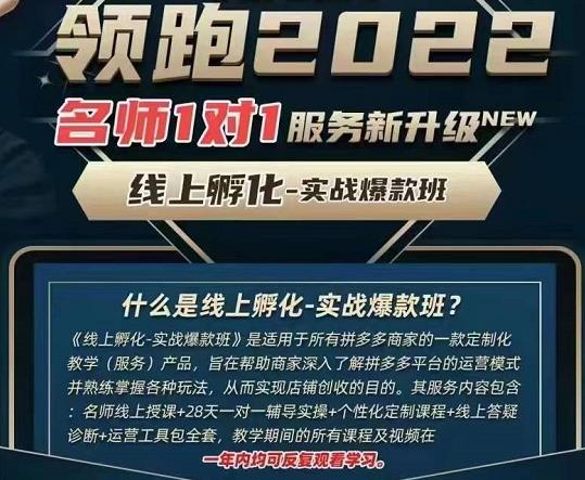 牛气学堂老陶电商【第9期】，拼多多名师线上领跑28天，线上孵化-实战爆款班-秀人资源网