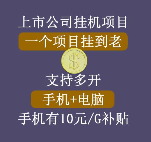【上市公司】睿思挂机项目，一个项目挂到老，支持手机+电脑+虚拟机多开-秀人资源网