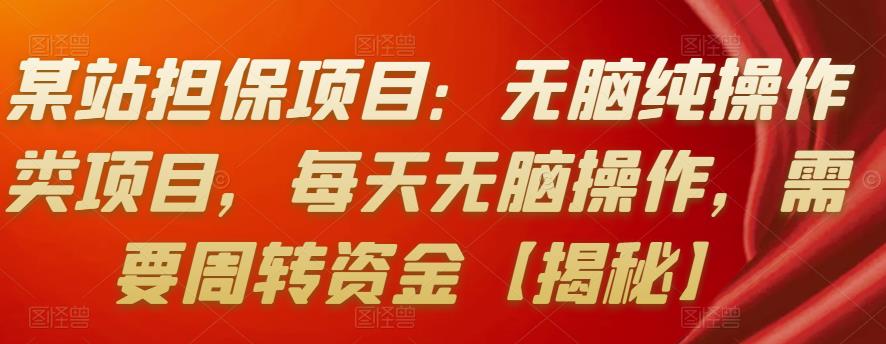 某站担保项目：无脑纯操作类项目，每天无脑操作，需要周转资金【揭秘】-秀人资源网
