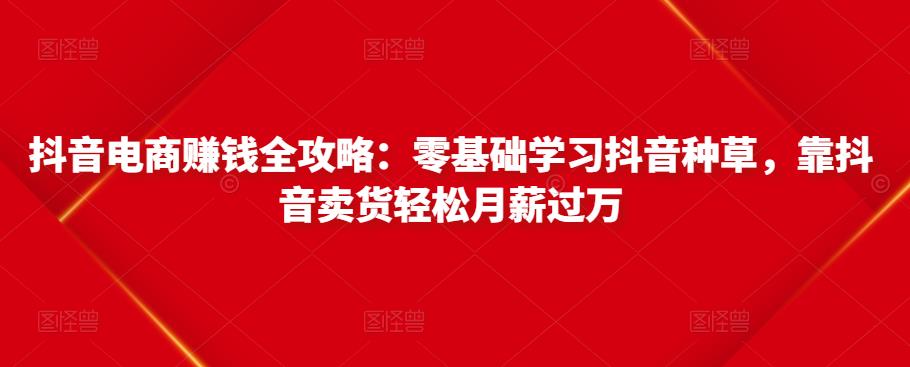 抖音电商赚钱全攻略：零基础学习抖音种草，靠抖音卖货轻松月薪过万-秀人资源网