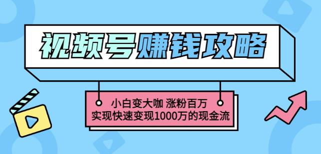 玩转微信视频号赚钱：小白变大咖涨粉百万实现快速变现1000万的现金流-秀人资源网
