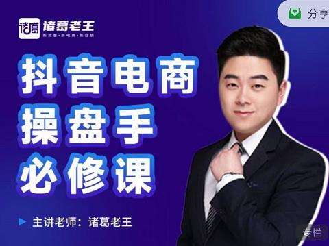 诸葛老王-抖音电商操盘手必修课：顶层设计，​起号破局，爆款运营，数据分析-整合资源网