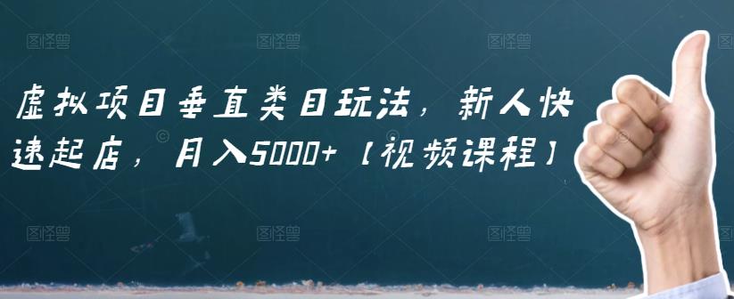 虚拟项目垂直类目玩法，新人快速起店，月入5000+-秀人资源网