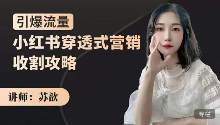 苏歆：小红书穿透式营销收割攻略，引爆流量，助你玩转小红书-秀人资源网