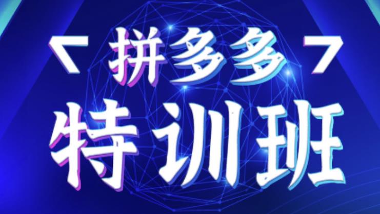星雪教育·拼多多基础班+进阶班+突破班，用系统的学习模式快速改变现状价值3580元-秀人资源网