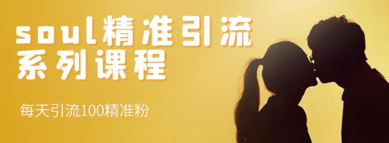 soul精准引流系列课程，每天引流100精准粉-整合资源网