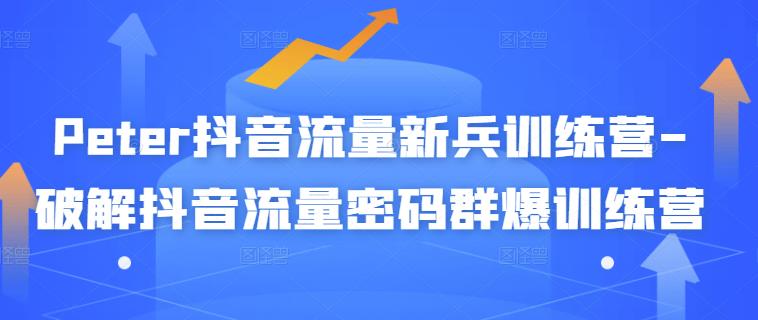 Peter抖音流量新兵训练营-破解抖音流量密码群爆训练营（新兵）-秀人资源网